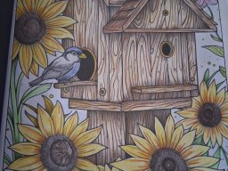 whatsapp bild 2025-01-15 um 13.10.17_d903f901